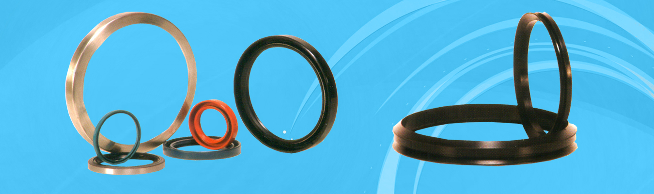 O Rings, Oil Seals, Quad Rings, Back Up Rings, Diaphragms Hydraulic