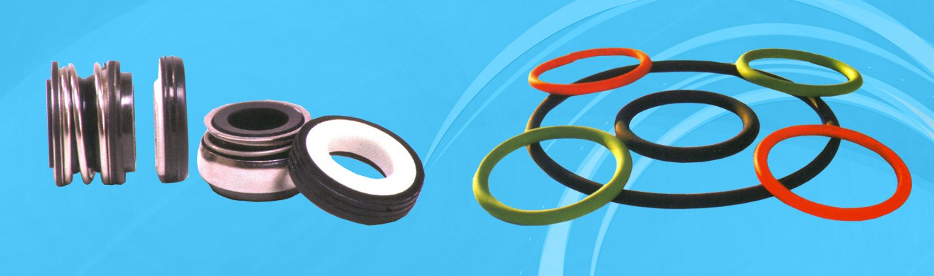 Grillig dichtbij magnetron Oil Seal, O-Rings, Hydraulic, Pneumatic Seals, Manufacturer, Pune, India
