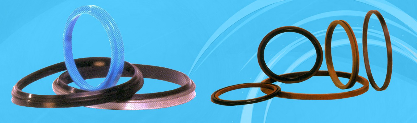 Dust Oil Seal O Ring Hydraulic Wiper Seal 50X58X5/6.5 - China Hydraulic Seal,  O Ring | Made-in-China.com