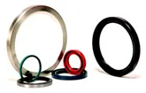 Oil Seals